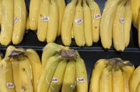 国产香蕉网,探索中国香蕉产业的魅力与未来